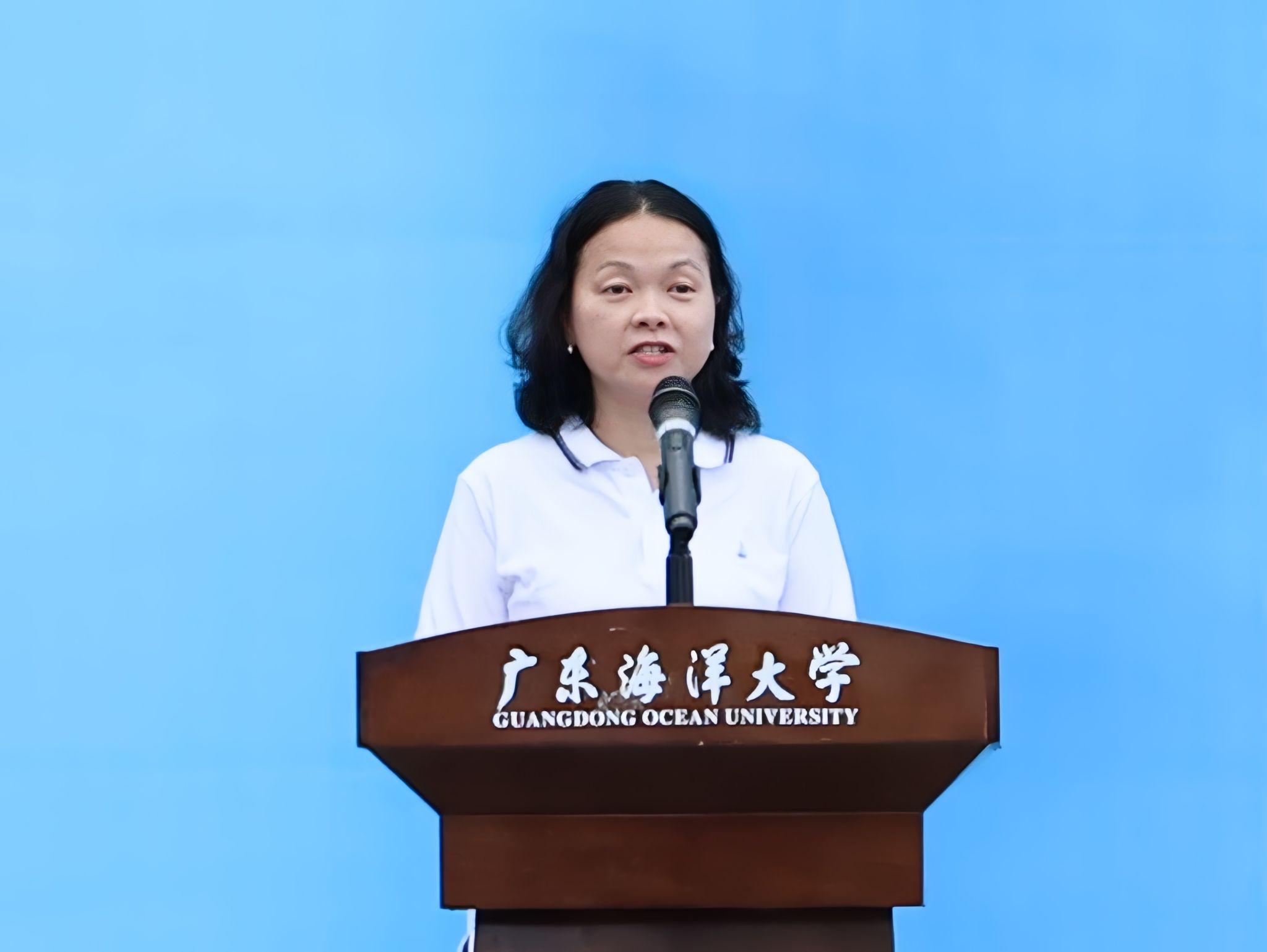 英国上市公司365
