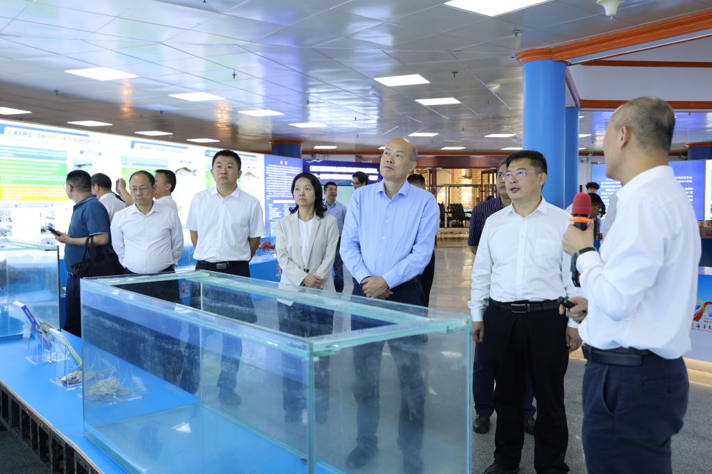 英国上市公司365